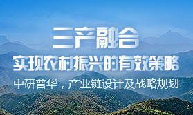 三產(chǎn)融合