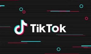 TikTok美國關(guān)停禁令暫緩 2020年中國網(wǎng)絡(luò)安全行業(yè)發(fā)展分析調(diào)研