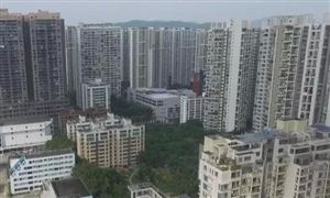 深圳樓市再加碼：購(gòu)房作假者暫停買(mǎi)/賣房3年 廣東房地產(chǎn)市場(chǎng)熱度長(zhǎng)期居高