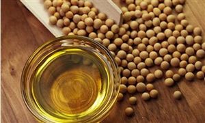 南美大豆料減產(chǎn)有限 2021年豆油季節(jié)性需求將轉(zhuǎn)弱
