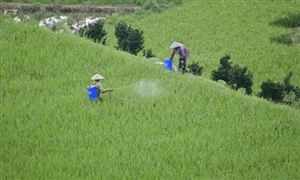 農(nóng)作物化肥農(nóng)藥施用量連續(xù)4年負(fù)增長 2021年中國農(nóng)藥相關(guān)企業(yè)年注冊量大幅增長