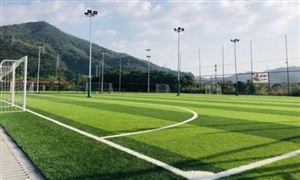 到2025年社會足球場地全面開放 未來足球場用人造草坪產業(yè)市場蓬發(fā)