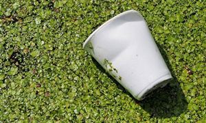 支持生物降解塑料領(lǐng)域國家標準制修訂工作 降解塑料袋行業(yè)深度分析