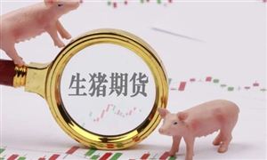 生豬期貨首個(gè)合約摘牌 生豬行業(yè)行業(yè)行業(yè)預(yù)測(cè)