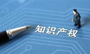 促進(jìn)高質(zhì)量知識產(chǎn)權(quán)創(chuàng)造與轉(zhuǎn)化 我國知識產(chǎn)權(quán)專利未來發(fā)展趨勢