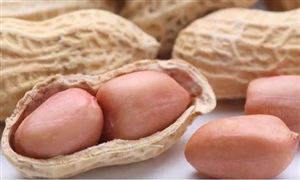 花生價格為什么持續(xù)下跌 花生市場未來發(fā)展趨勢如何?