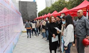 如何緩解年輕人就業(yè)壓力?官方回應 從三個方面精準發(fā)力