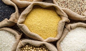 中國糧食行業(yè)現狀及發(fā)展趨勢分析