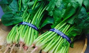 近期蔬菜價格為何跳漲？蔬菜價格未來走勢預(yù)測 蔬菜行業(yè)發(fā)展現(xiàn)狀分析