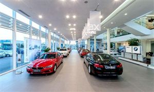 六成單身青年熱衷購買轎車 汽車銷售行業(yè)新營銷模式