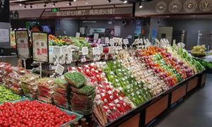 10月深圳鮮菜價格環(huán)比漲13.9% 中國綠色蔬菜發(fā)展市場供需及前景規(guī)劃研究