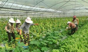 黨的百年奮斗重大成就和歷史經(jīng)驗決議通過 推動黨和人民事業(yè)發(fā)展