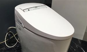 智能馬桶行業(yè)市場發(fā)展現(xiàn)狀 智能馬桶行業(yè)市場發(fā)展需求分析