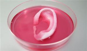 3D生物打印市場現(xiàn)狀 行業(yè)相關(guān)法規(guī)仍有待完善