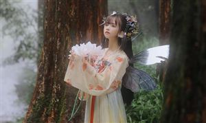 漢服行業(yè)市場發(fā)展現(xiàn)狀 2022漢服行業(yè)市場發(fā)展前景分析