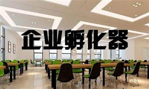 2022企業(yè)孵化器行業(yè)發(fā)展現(xiàn)狀及前景分析 企業(yè)孵化器產(chǎn)業(yè)SWOT分析