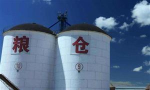 2022內(nèi)蒙古、包頭糧食倉儲及應(yīng)急儲備行業(yè)發(fā)展現(xiàn)狀及前景分析