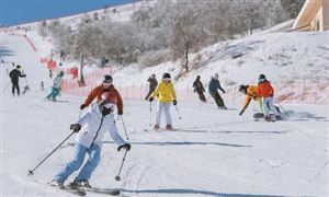 預(yù)計(jì)到2025年我國冰雪旅游人數(shù)將超5億人次 冰雪旅游供給分析