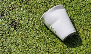 中國可降解塑料行業(yè)現(xiàn)狀及發(fā)展前景分析