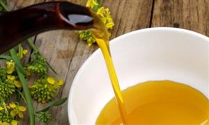 中國(guó)菜籽油行業(yè)上下游產(chǎn)業(yè)鏈分析 2022菜籽油行業(yè)發(fā)展現(xiàn)狀及前景分析
