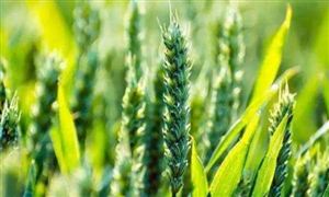 2022年農(nóng)業(yè)生物技術(shù)行業(yè)現(xiàn)狀及發(fā)展前景分析
