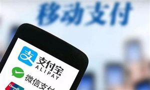 電子支付行業(yè)報(bào)告 2022電子支付行業(yè)前景及現(xiàn)狀