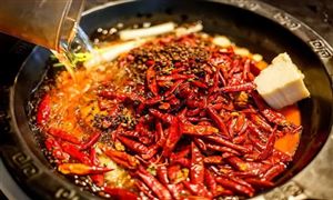 2022年火鍋底料行業(yè)市場規(guī)模及發(fā)展前景分析