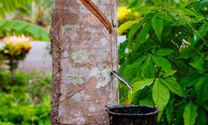 橡膠制品行業(yè)進(jìn)出口現(xiàn)狀分析 橡膠制品市場發(fā)展前景如何？