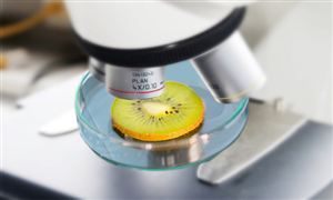 2022年食品安全檢測(cè)儀器行業(yè)市場(chǎng)規(guī)模及發(fā)展前景分析