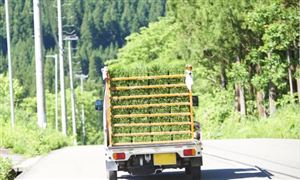 2022-2026農(nóng)業(yè)物流行業(yè)前景及現(xiàn)狀調(diào)研報告分析