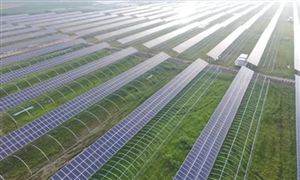 2022年高效農(nóng)業(yè)行業(yè)現(xiàn)狀及發(fā)展前景分析