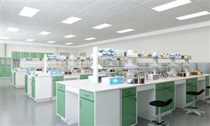 聯(lián)合辦學市場調研 2022聯(lián)合辦學行業(yè)前景及現(xiàn)狀分析