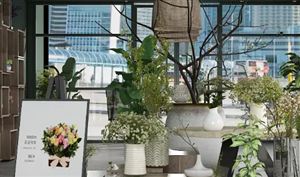 2022花店市場規(guī)?，F(xiàn)狀及發(fā)展趨勢深度分析