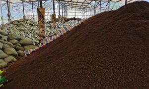 2022有機(jī)肥料行業(yè)現(xiàn)狀及前景分析