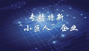 2022專精特新中小企業(yè)標(biāo)準(zhǔn)政策與投融資戰(zhàn)略分析