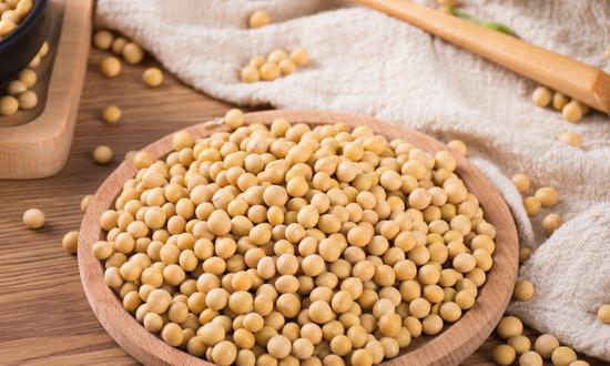2023年大豆深加工行業(yè)發(fā)展趨勢分析