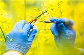 2022中國生物育種發(fā)展規(guī)劃與競爭布局分析