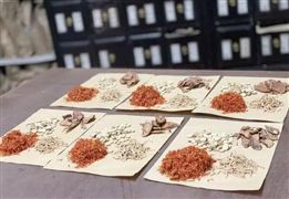 2022中藥飲片產(chǎn)業(yè)規(guī)模及發(fā)展前景調(diào)研