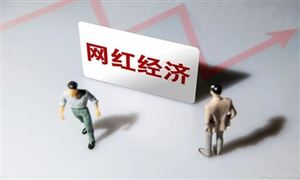 2022年網(wǎng)紅經(jīng)濟(jì)行業(yè)前景趨勢(shì)及市場(chǎng)規(guī)模調(diào)研分析