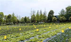 智慧農(nóng)業(yè)市場規(guī)模分析 智慧農(nóng)業(yè)行業(yè)政策環(huán)境分析