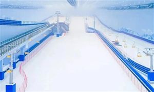 中國(guó)室內(nèi)滑雪場(chǎng)市場(chǎng)深度分析及發(fā)展