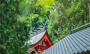 我國(guó)紅色旅游市場(chǎng)需要分析 紅色旅游行業(yè)市場(chǎng)分析?