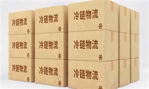 冷鏈物流行業(yè)市場(chǎng)調(diào)研