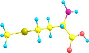 行業(yè)洞察 2022蛋氨酸行業(yè)市場(chǎng)現(xiàn)狀分析報(bào)告