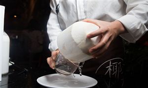 椰汁最新行業(yè)前景分析及市場規(guī)模調(diào)研報告