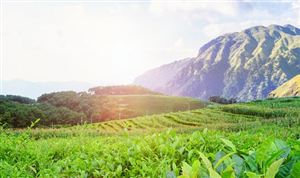 中國夜間旅游行業(yè)發(fā)展態(tài)勢與前景展望