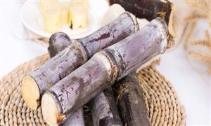 中國甘蔗行業(yè)全景分析 甘蔗行業(yè)發(fā)展前景趨勢預測2023