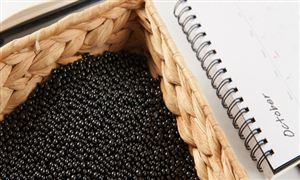 活性炭行業(yè)深度分析2022 預計2025年我國活性炭產量將接近100萬噸