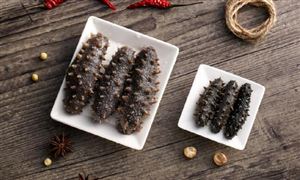 海參行業(yè)行業(yè)現(xiàn)狀如何?海參行業(yè)未來(lái)發(fā)展前景分析