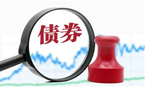 債券市場體系及債券投資行業(yè)市場運行分析2023